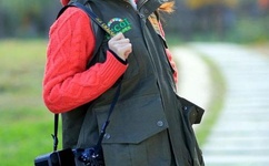 晃来晃去的巨峰